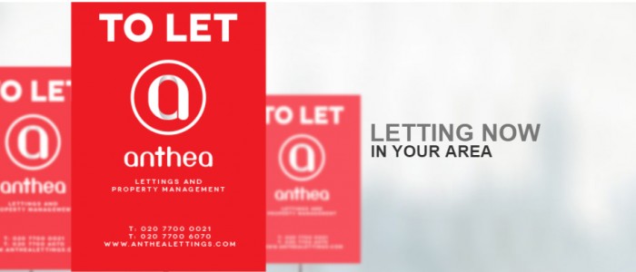 Anthea Lettings